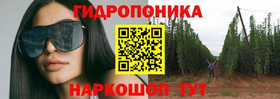 СК Аргун