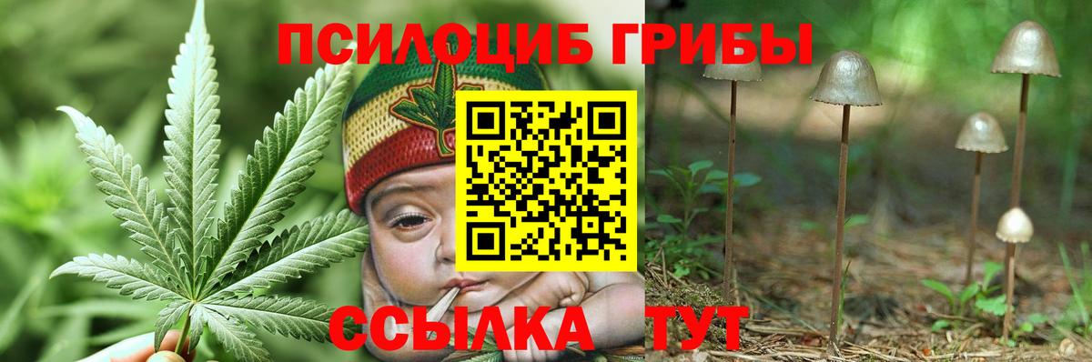 Белореченск  Галлюциногенные грибы Magic Shrooms  Галлюциногенные грибы прущие грибы  Вход с VPN 